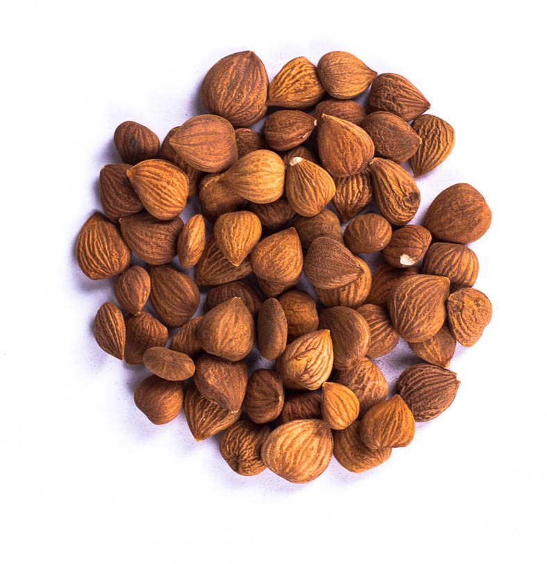 Planteon Jądra pestek moreli gorzkie 5kg