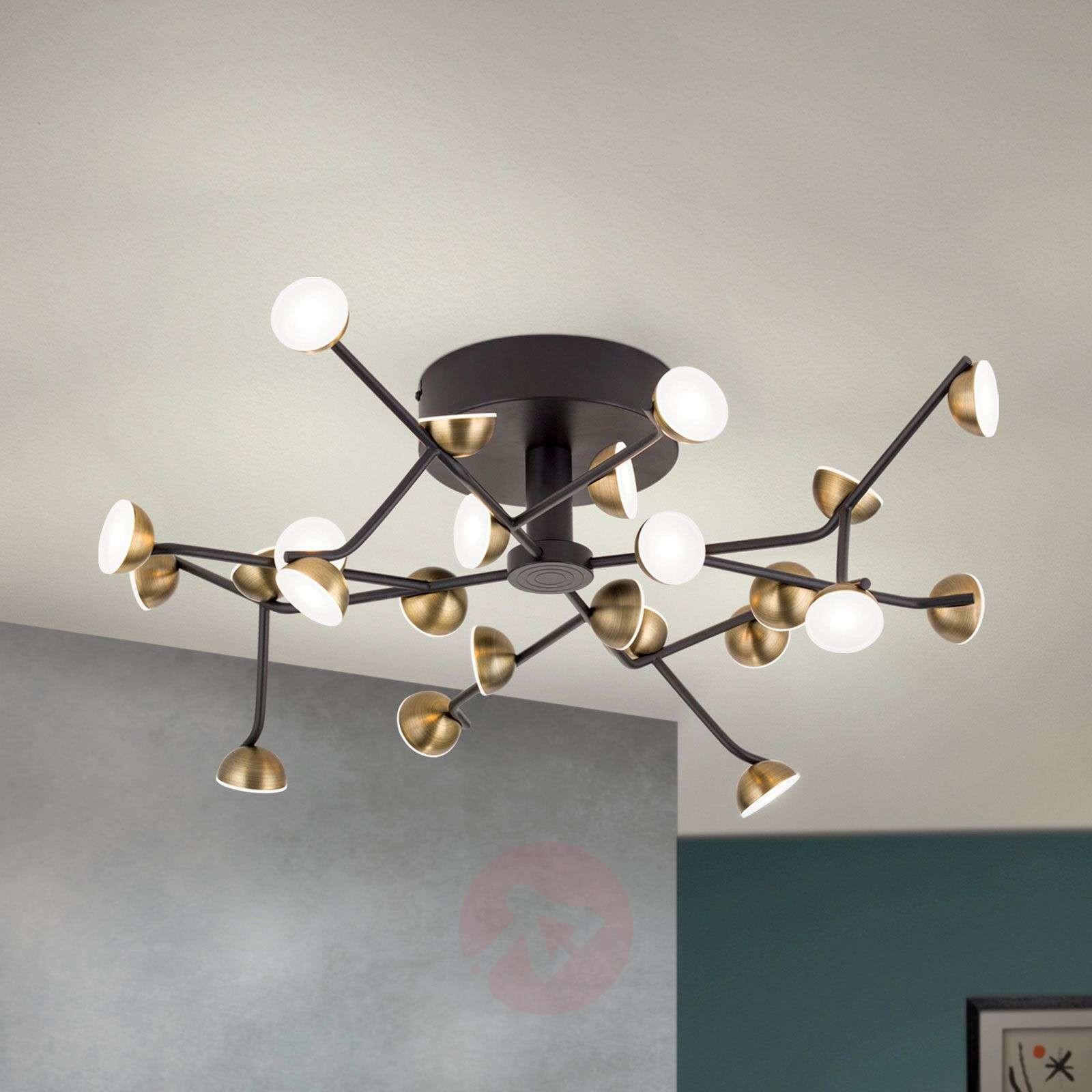 Orion Lampa sufitowa LED Blossom, 24-punktowa