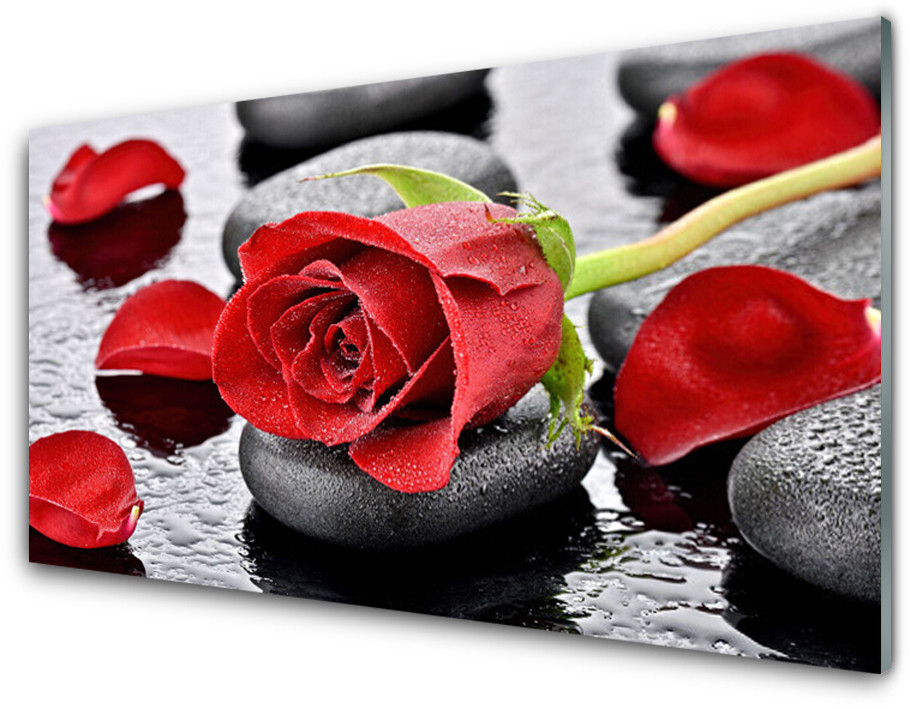 Tulup.pl Panel Szklany Czerwona Róża Kwiat 100x50cm