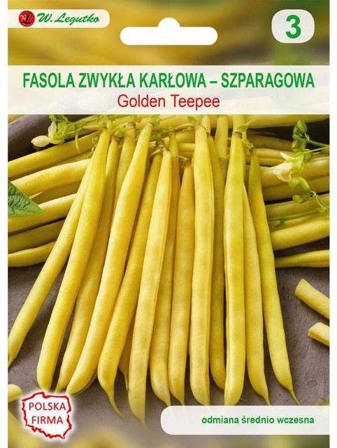 Legutko Fasola zwykła karłowa GOLDEN TEEPEE