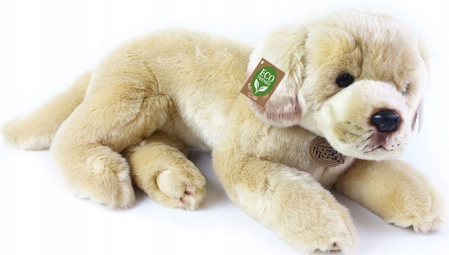 Leżący Labrador Maskotka Pies Realistyczna 50cm
