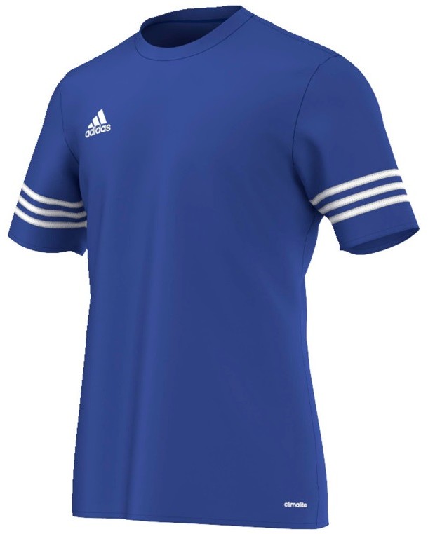 Adidas KOSZULKA ENTRADA 14 niebieska F50491