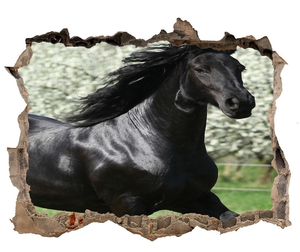Wallmuralia.pl Dziura 3d fototapeta na ścianę Czarny koń kwiaty