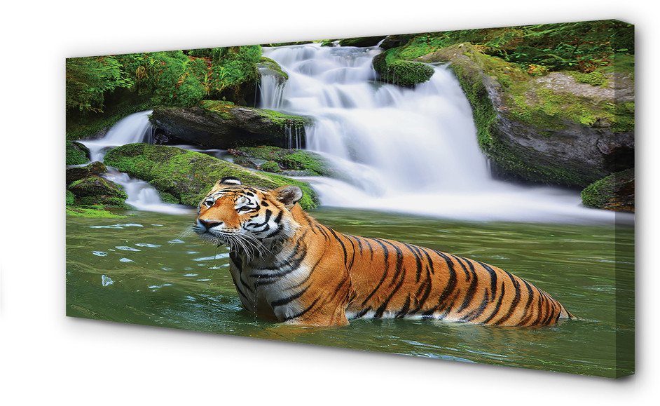 PL Tulup Obrazy na płótnie Tygrys wodospad 120x60cm