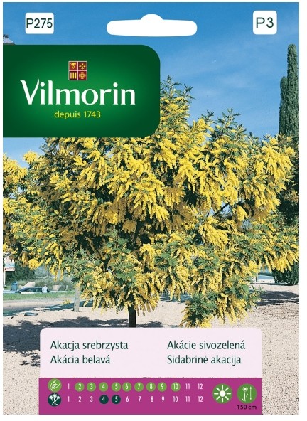 Vilmorin Nasiona akacja srebrzysta