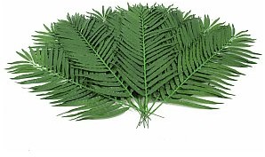 Europalms EUROPALMS Kokosowa gałązka palmowa, sztuczna, 90 cm 12x 82509896