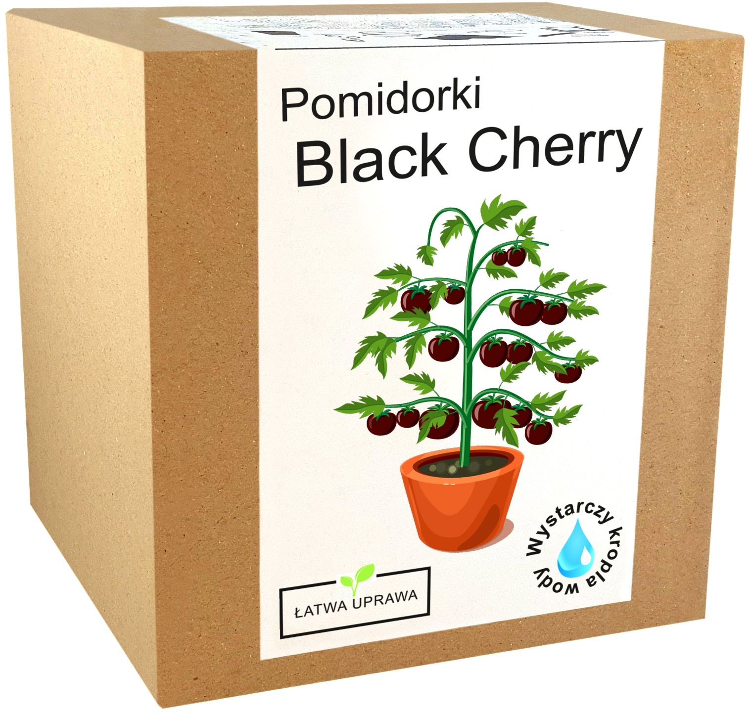 Zestaw do Uprawy Pomidor koktajlowy Black Cherry