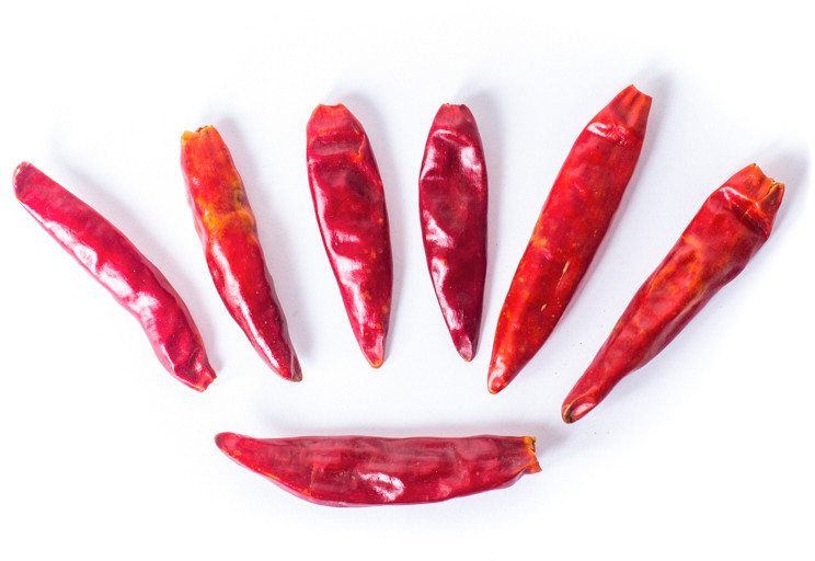 Planteon Papryka chilli strąk CHAOTIAN 5kg 2-0032-13-6