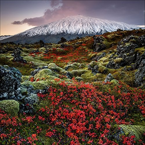 Pro-Art-Bilderpalette Pro-Art g1830 a obraz ścienny Giclee 