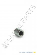 NEW HOLLAND CASE Śruba CNH 5166873 M8 x 10mm 5166873