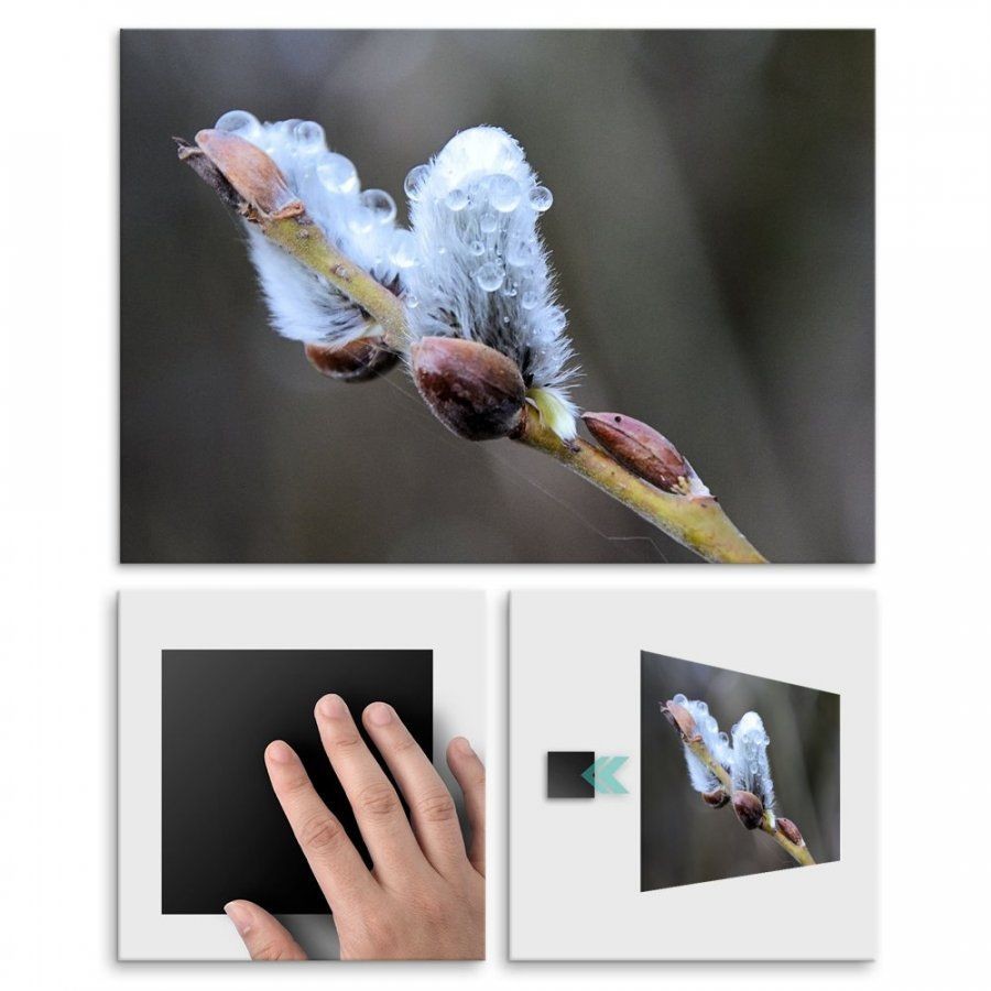 Pix4home Plakat metalowy bazie kotki L POS-L-01356