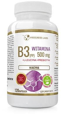 PROGRESS LABS Niacyna 500 mg Leucyna 120 caps