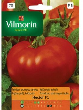 Vilmorin Nasiona pomidor gruntowy Hector karłowy