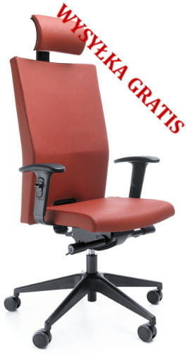 ProfiM Fotel ergonomiczny Playa Pro P 12