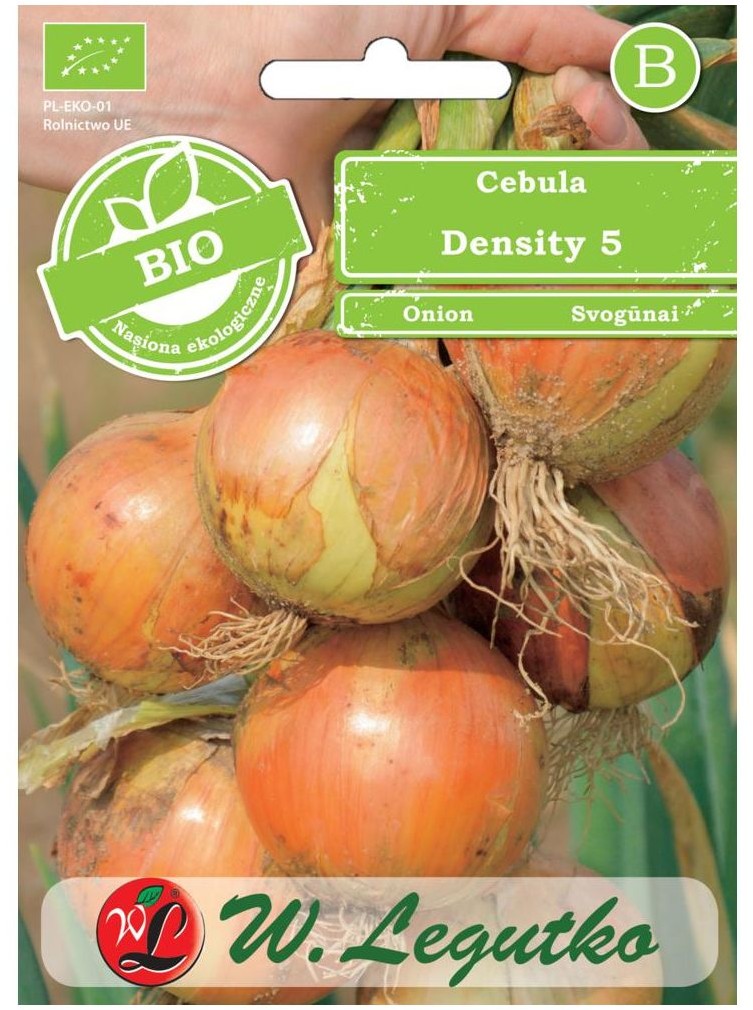 Legutko Cebula nasiona BIO Density 5