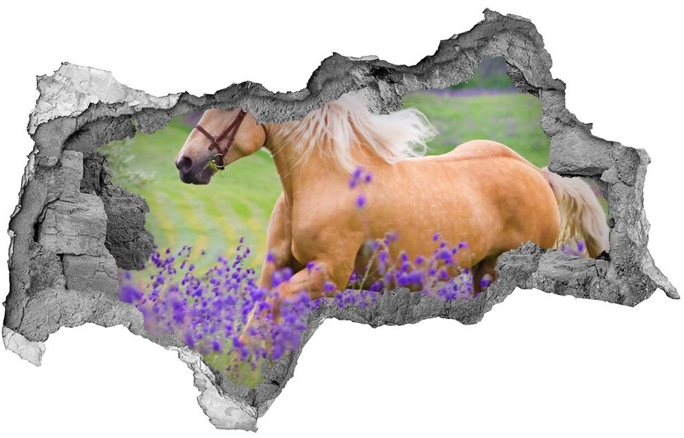 Wallmuralia.pl Dziura 3d fototapeta Koń na polu lawendy