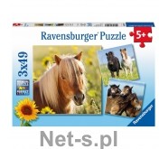 Ravensburger Puzzle 3x49el Kochane Konie 080113