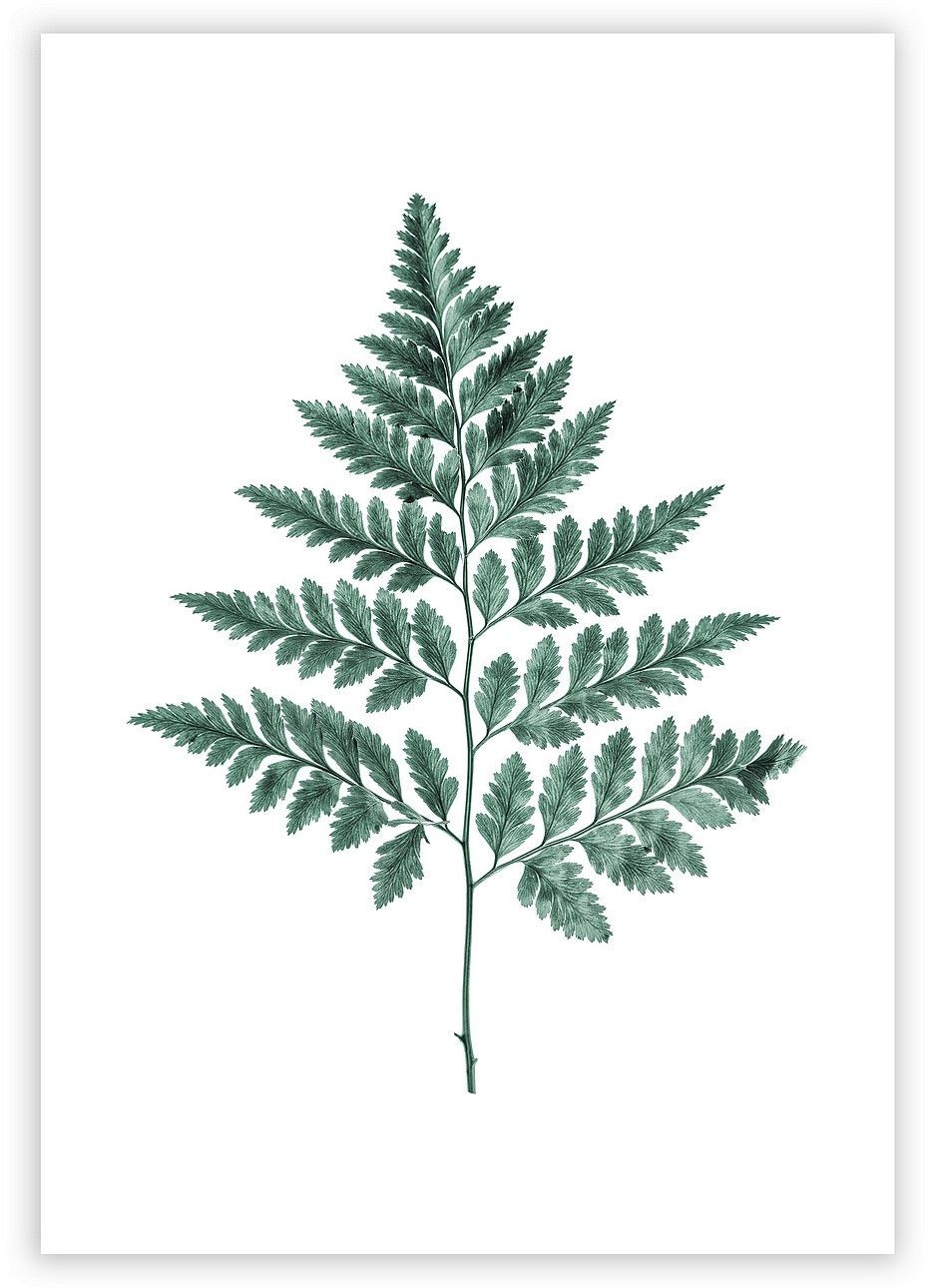 Dekoria Plakat Fern Emerald Green 30 x 40 cm 219-000-00