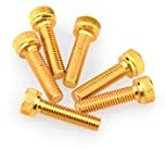 Puig 0147 G blister 6 śrub, M5, 20 mm, złoty 0147G