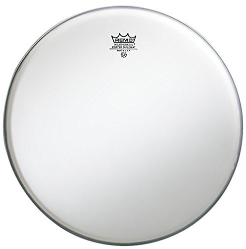 Remo Diplomat Coated BD-0116  00  Tom-sierści 116TD