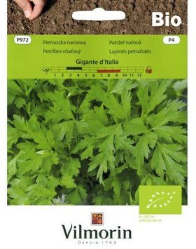 Vilmorin Nasiona pietruszka naciowa Gigante Ditalia