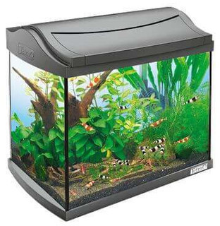 Tetra AquaArt Discover Line Aquarium Complete Set 20 l Antracit