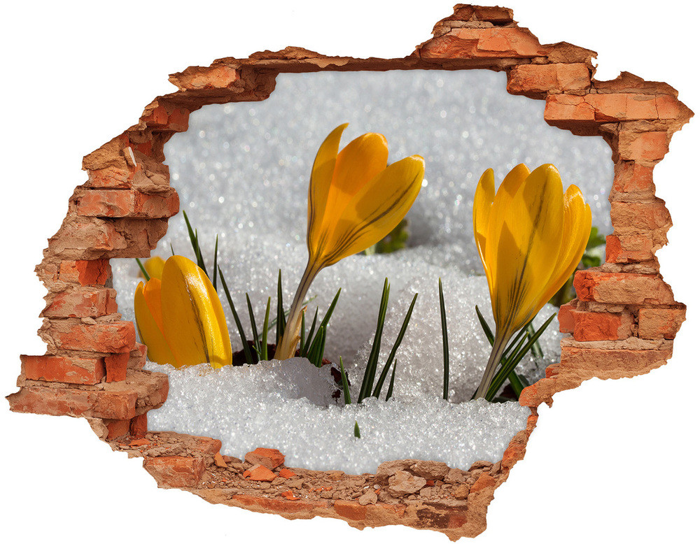 Wallmuralia.pl Samoprzylepna naklejka fototapeta Krokusy w śniegu