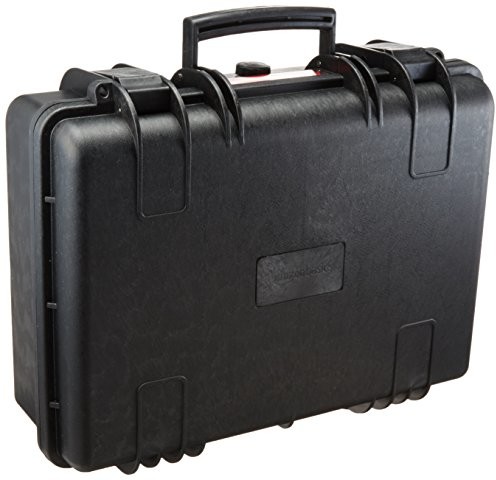 AmazonBasics Hard camera case, Medium WXD0583WD