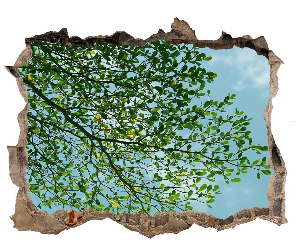 Wallmuralia.pl Dziura 3d w ścianie naklejka Liście na niebie