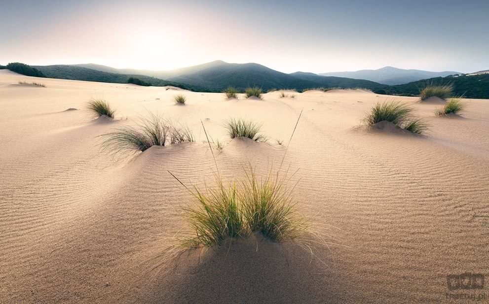 Komar Fototapeta Vivid Dunes SHX9-091 SHX9-091