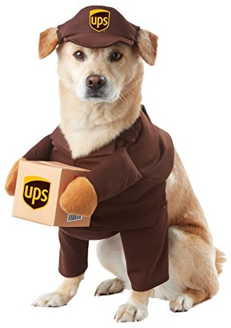 California Costumes UPS Delivery Dog Pet Costume PET20151