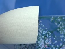 Papeterra Kość słoniowa, fakturowany - odcisk na serze 2 str wzór, 9 ark A4, 90 g, Cottage Ivory, papier ozdobny (ppp108) ppp108