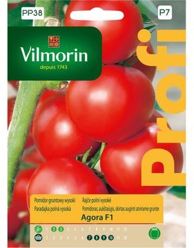 Vilmorin Pomidor gruntowy AGORA