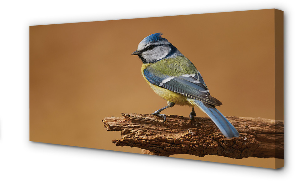 PL Tulup Obrazy na płótnie Ptak 120x60cm