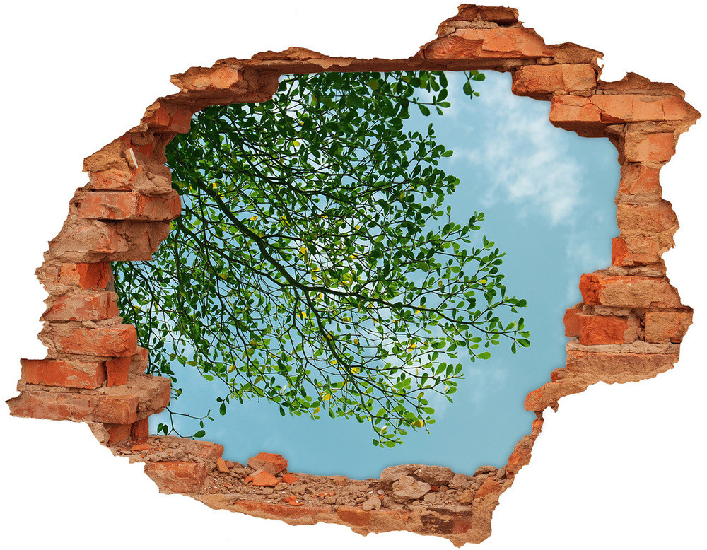Wallmuralia.pl Dziura 3d w ścianie naklejka Liście na niebie