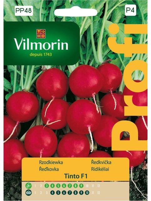 Vilmorin Rzodkiewka TINTO