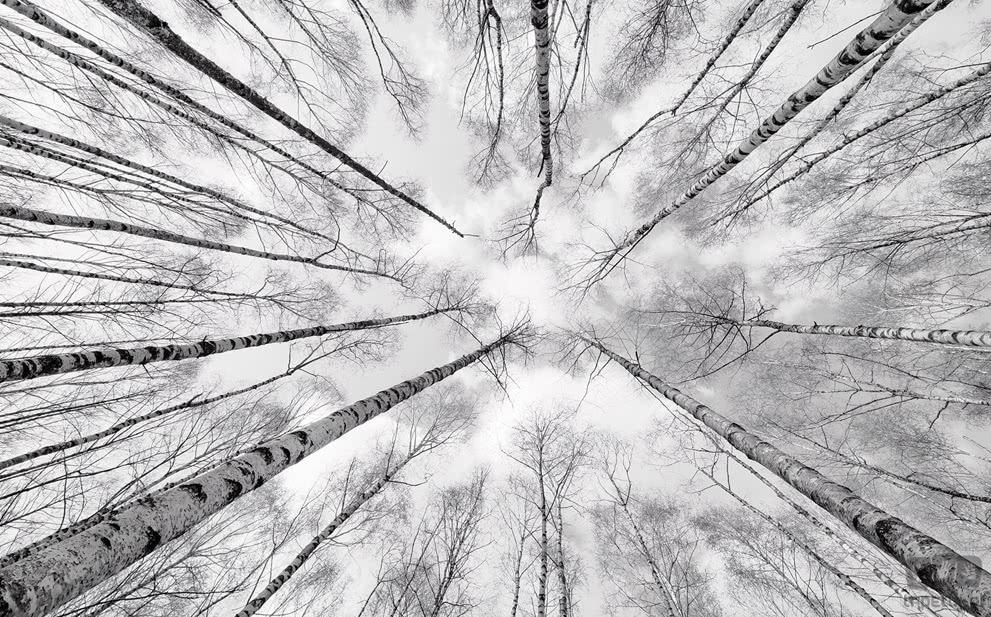 Komar Fototapeta Weiss-Blau SHX9-093 SHX9-093