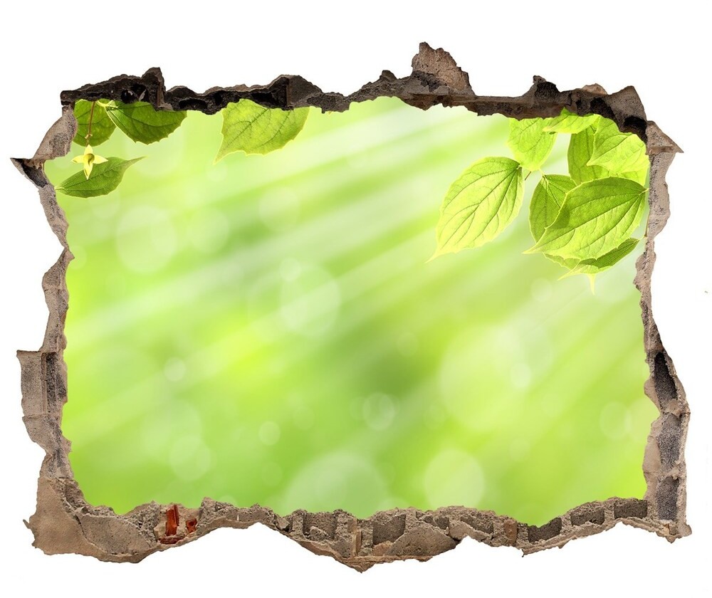 Wallmuralia.pl Samoprzylepna naklejka fototapeta Liście