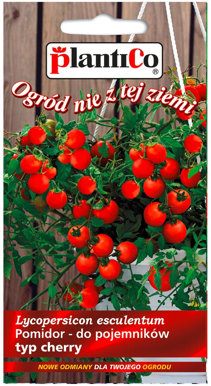 Plantico Pomidor wiszący
