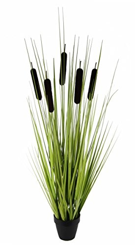 Flair Flower rura tłok X 5 W doniczce, plastik, brązowy, 90 x 25 x 25 cm 151010BR