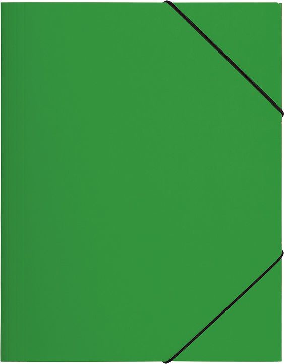 Pagna Teczka z gumką A4 zielona PP P2161305