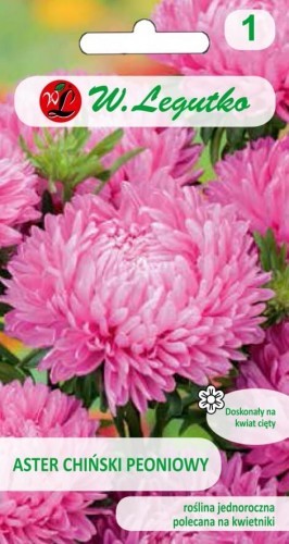 Legutko Aster chiński peoniowy różowe 5903837062300