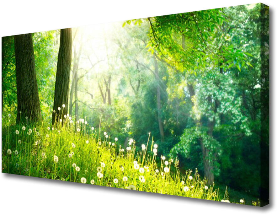 PL Tulup Obraz Canvas Łąka Natura Roślina 140x70cm