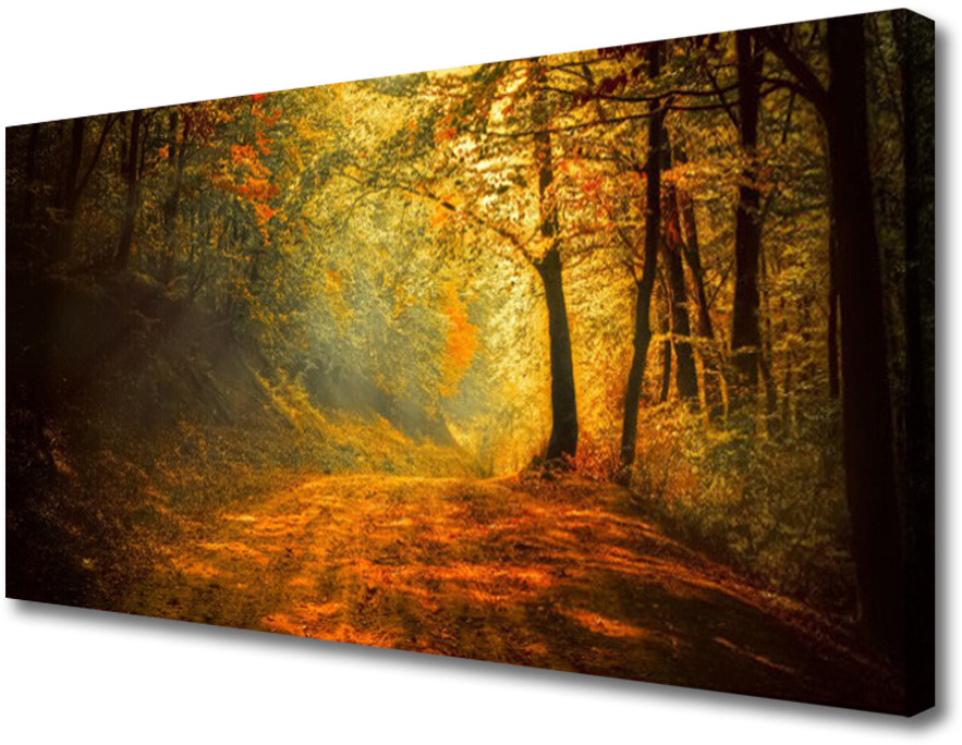 PL Tulup Obraz Canvas Las Dróżka Drzewa Przyroda 100x50cm