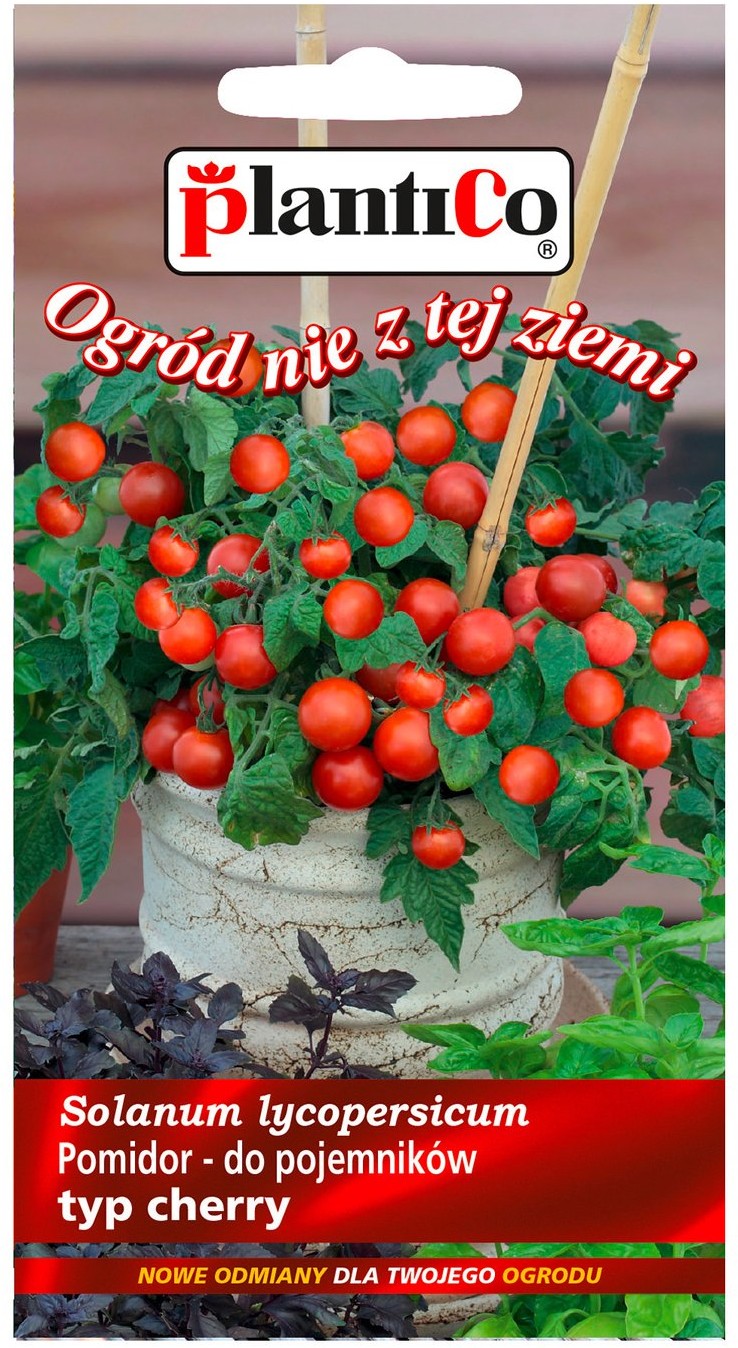 Plantico Pomidor drobnoowocowy Vilma ONZ