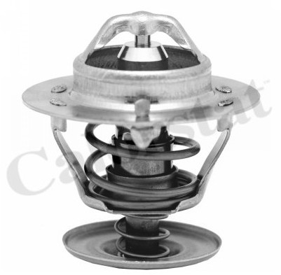 CALORSTAT Termostat, środek chłodzący CALORSTAT TH5750.88J