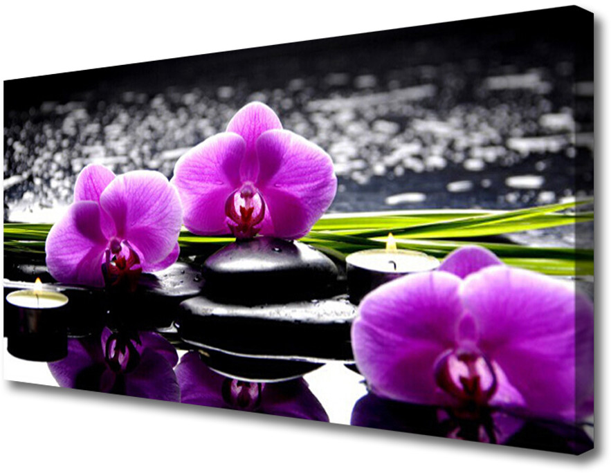 PL Tulup Obraz na Płótnie Kwiat Orchidea Roślina 140x70cm