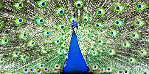 Pro-Art-Bilderpalette Pro-Art g1818g obraz na ścianę wydruk Giclée 'Paw i' 100 x 50 cm g1818g