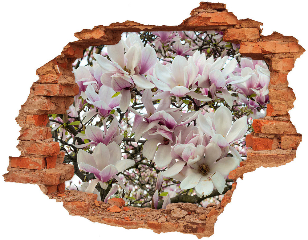 Wallmuralia.pl Samoprzylepna naklejka fototapeta Kwiaty magnolii