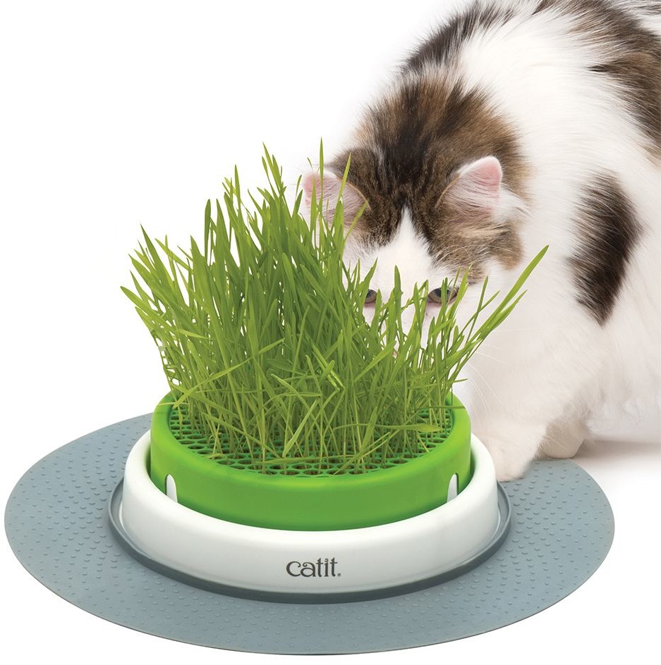 Catit Senses 2.0 miska z trawą Miska